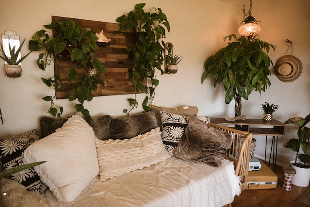 a living room with throw pillows and plants